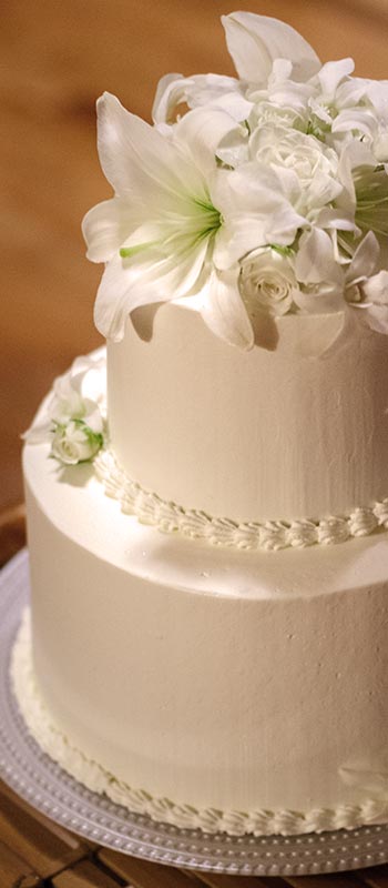 kauai wedding cake photograph