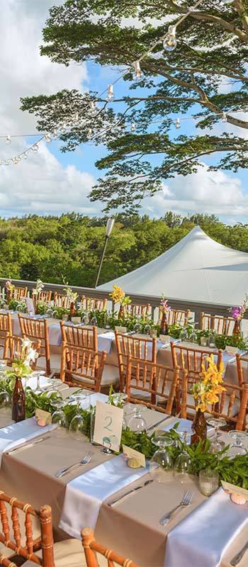 kauai weddings tent and reception